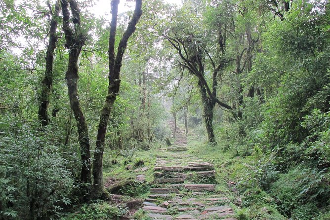 1-Day Private Dhampus Trekking Tour - What the $67 price includes