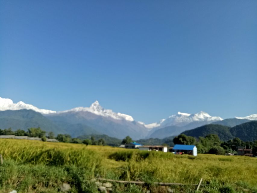 1 N 2 Days easy Dhampus,Australian camp trek from Pokhara - Who should book this two-day trek