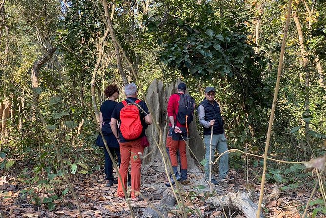 1 Night 2 Days Chitwan Jungle Safari Tour from Kathmandu - Should you book it?
