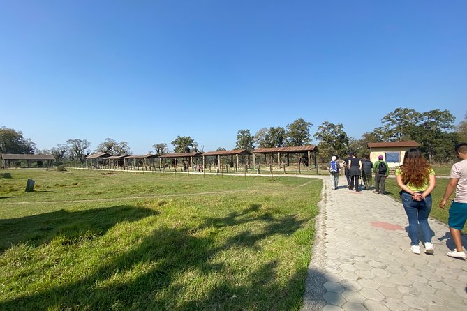 1 Night 2 Days Chitwan Jungle Safari Tour from Pokhara or Kathmandu - What the $140.80 price covers