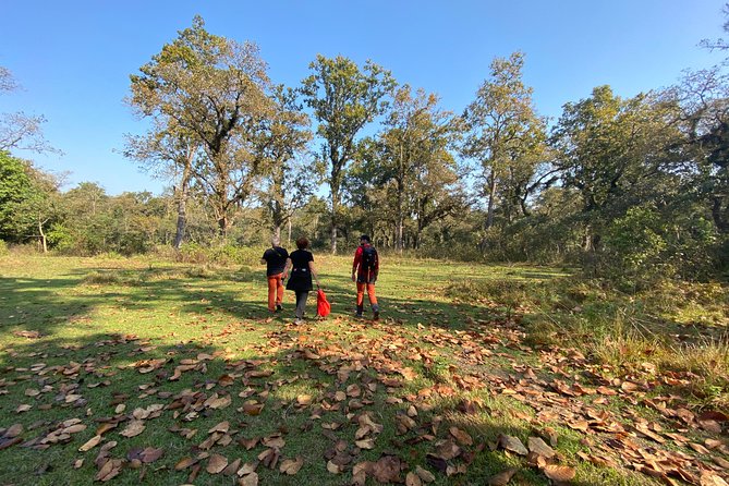 1 Night 2 Days Chitwan Jungle Safari Tour from Pokhara or Kathmandu - Reaching Chitwan National Park