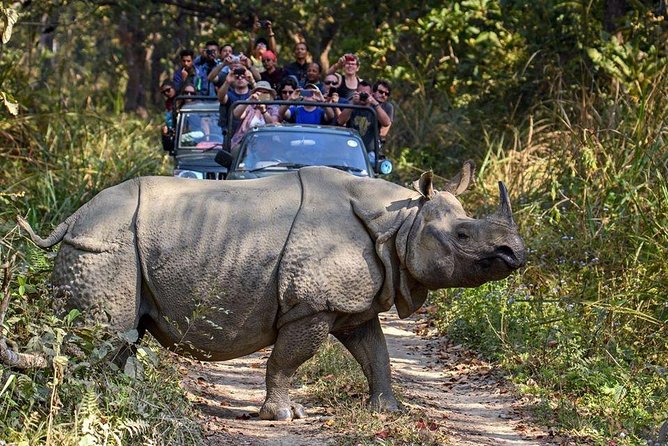 10 days Special Nepal Tour Package - The human service matters on a busy route