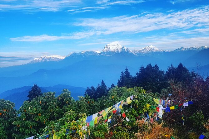 11-Day Hike Tour to Annapurna Base Camp Bliss in Kathmandu - Why this route works so well