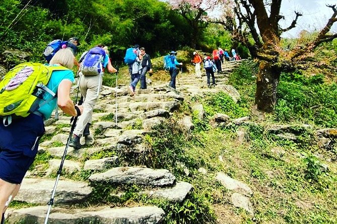 11-Day Hike Tour to Annapurna Base Camp Bliss in Kathmandu - Days 1 and 2: Kathmandu, Pokhara, and the trailhead