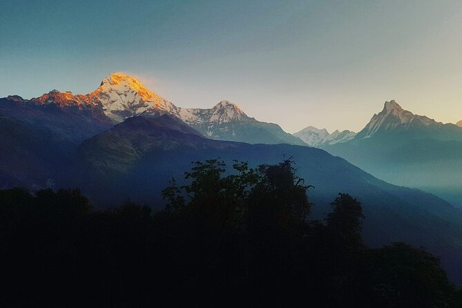 11-Day Hike Tour to Annapurna Base Camp Bliss in Kathmandu - Day 4: Poon Hill sunrise and the forest trail to Tadapani