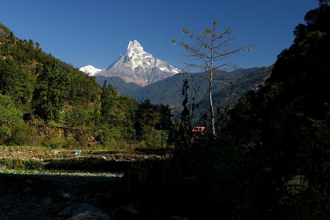 12-Day Nepal Adventure Trek with Jungle Safari - A fast start in Kathmandu
