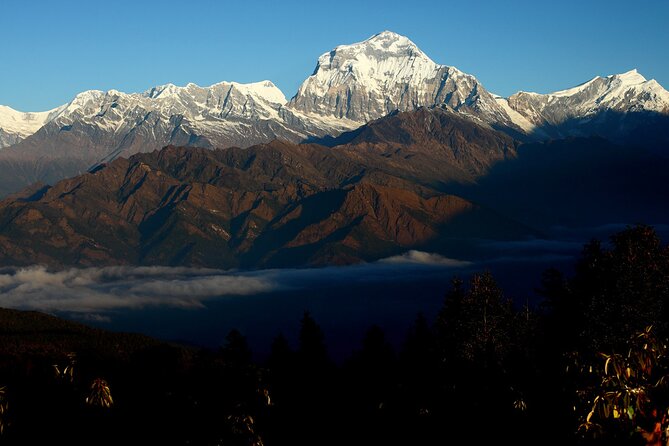 12-Day Nepal Adventure Trek with Jungle Safari - Day five brings the big stair climb