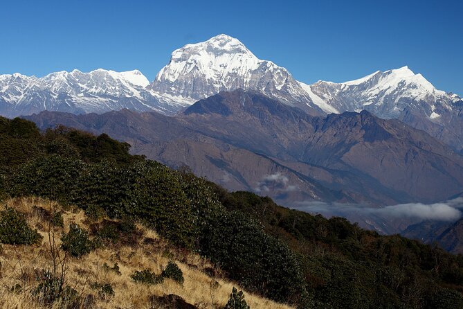 12-Day Nepal Adventure Trek with Jungle Safari - The final walking day back to Pokhara