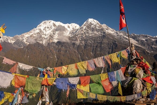 12 Days Annapurna Base Camp Trek - Bamboo, Dovan, and Himalaya: forests replace farmland