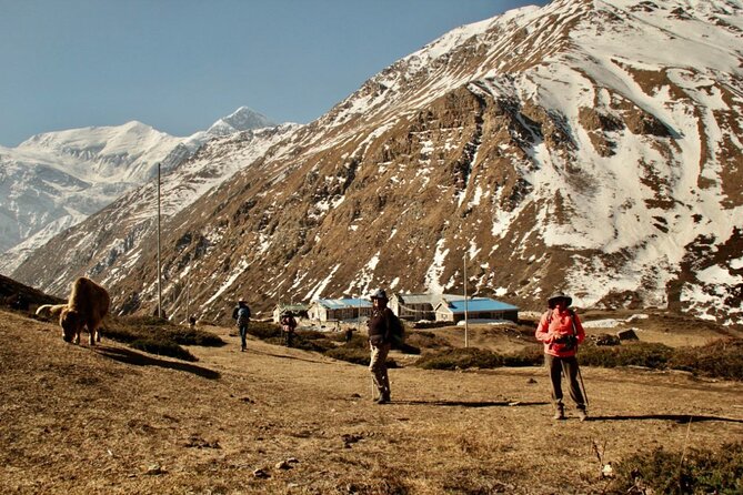 14 Days Annapurna Circuit Trek - Manang and the value of a rest day