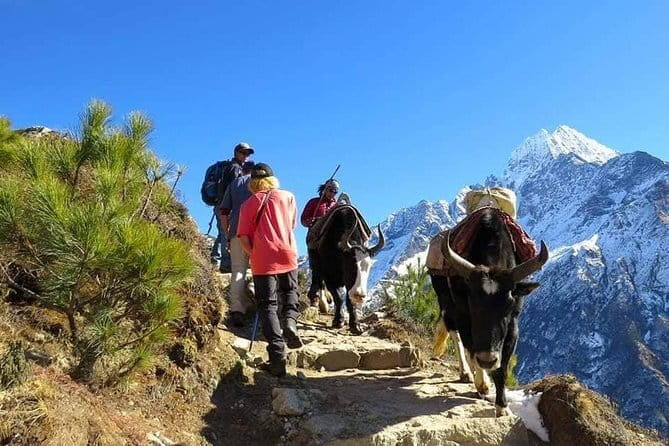 14 Days Everest Base Camp Trekking - Day 7: A second acclimatization day in Dingboche
