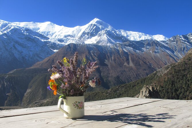 15-Day Private Annapurna Circuit Trek from Kathmandu - Crossing Thorong La at 5,416 meters