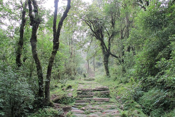 2-Day Private Trekking Tour to Australian Camp & Dhampus - Who should book this trek?