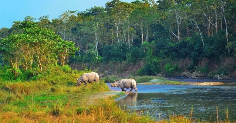 2 Days Chitwan Jungle Safari Tour from Pokhara/Kathmandu - Key points to know before booking
