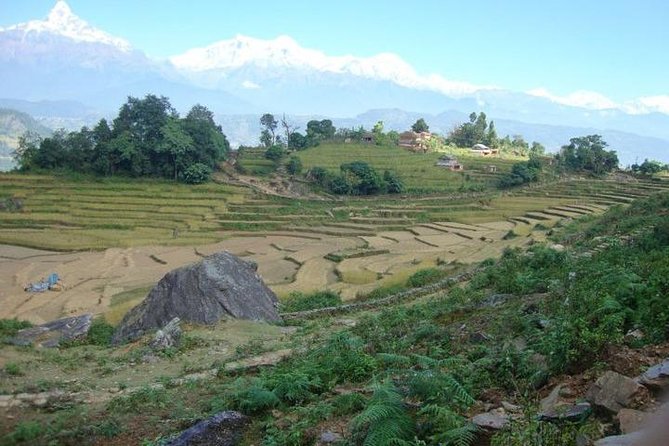 2 Days Panchase Hill Trek from Pokhara - Booking details worth knowing