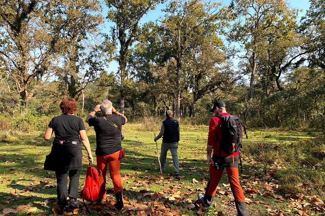2 Hours Nature Walk in Chitwan National Park - Birds, Deer, Peacocks, and Possible Wildlife