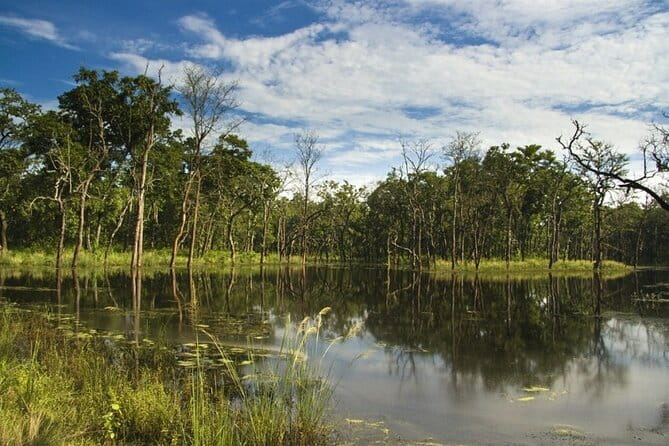 2 Night 3 Day Chitwan Jungle Safari Tour from Pokhara - Sauraha hotel, included meals, and the real value of $240