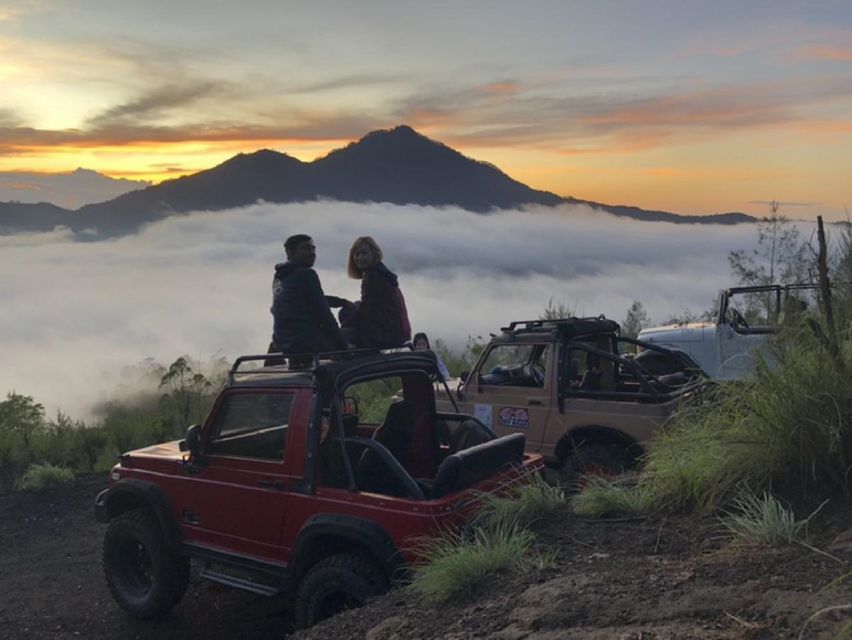 3-Day Chitwan Jungle Safari Adventure From Kathmandu/Pokhara - Day three: An easy departure after breakfast