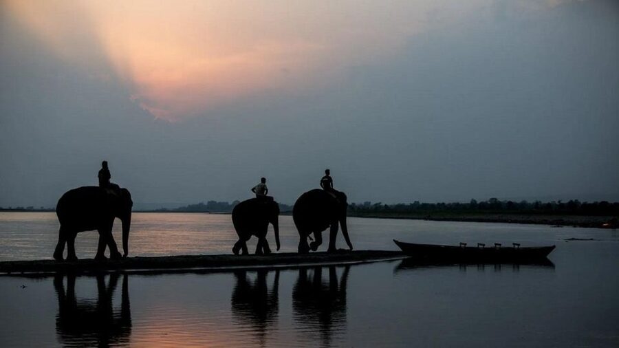 3-Day Chitwan Jungle Safari Adventure From Kathmandu/Pokhara - Practical advice before you go