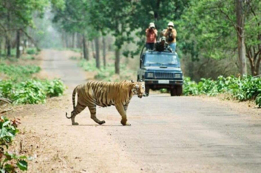 3-Day Chitwan Jungle Safari Adventure From Kathmandu/Pokhara - Day one: From Kathmandu or Pokhara to Sauraha