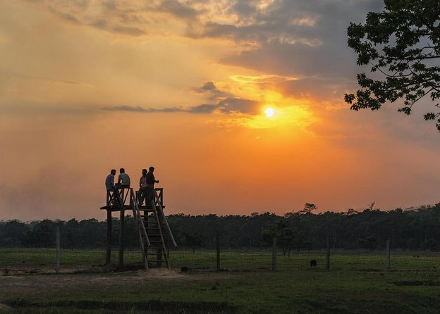 3-Day Chitwan Jungle Safari Tour from Kathmandu - Key points to know before booking