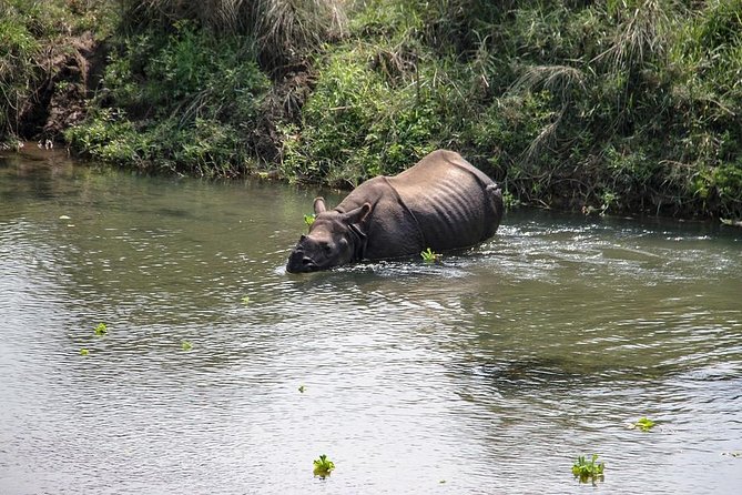 3-Day Chitwan Jungle Safari Tour from Kathmandu - Day 1: The long road from Kathmandu to Tharu country