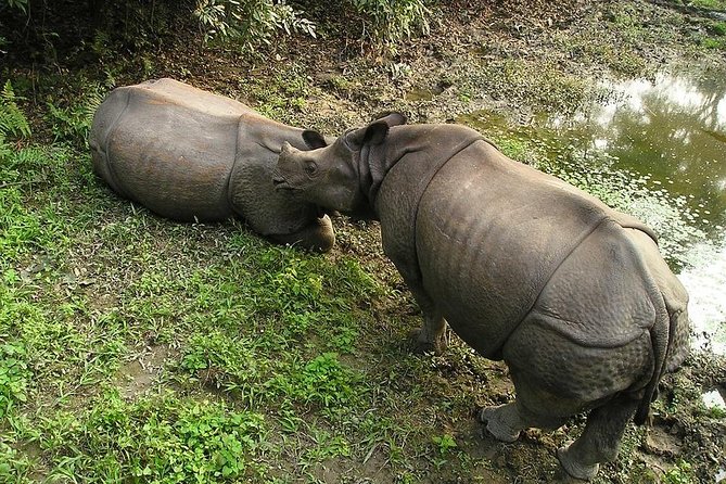 3-Day Chitwan Jungle Safari Tour from Kathmandu - What the $392 price really includes