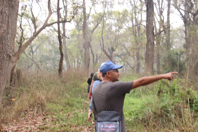 3-Day Chitwan National Park Jungle Safari Tour Package with Pick Up - Reaching Chitwan from Kathmandu