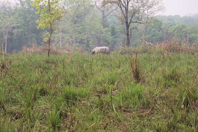 3-Day Chitwan National Park Jungle Safari Tour Package with Pick Up - Birdwatching before the 8:00 departure