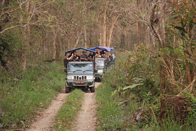3-Day Chitwan National Park Jungle Safari Tour Package with Pick Up - Who should book this Chitwan safari