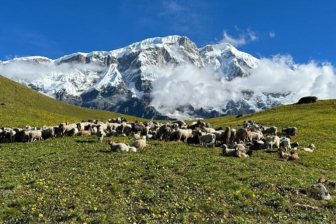 3 Day Kapuche Glacier Lake Trek with Siklesh from Pokhara - What the $195 price really covers