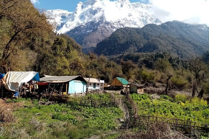 3 Day Kapuche Glacier Lake Trek with Siklesh from Pokhara - The guide and private group experience