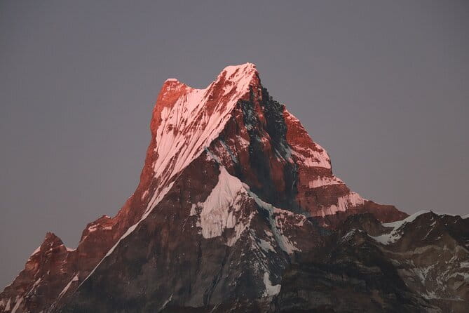 3 Day Mardi Himal Base Camp Trek from Pokhara - Day 2: Forest Camp to Mardi High Camp