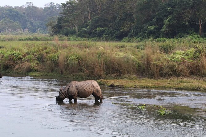 3 Days and 2 Nights Chitwan National Park Safari Tour in Pokhara - Day One: Arrival, Tharu Village, and Evening Culture