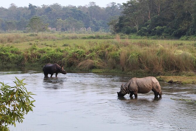 3 Days and 2 Nights Chitwan National Park Safari Tour in Pokhara - Day Three: Check-Out and the Long Return