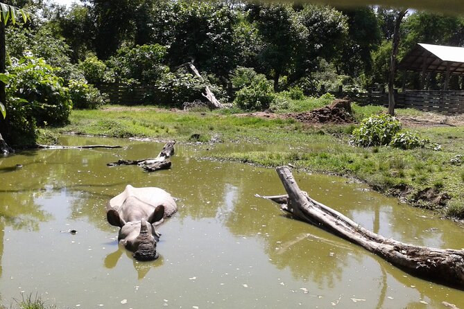 3 Days and 2 Nights Chitwan National Park Safari Tour in Pokhara - Who Will Get the Most From This Trip