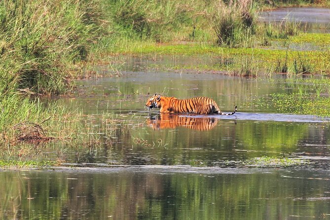 3 Days and 2 Nights Chitwan National Park Safari Tour in Pokhara - Practical Booking Advice Before You Leave