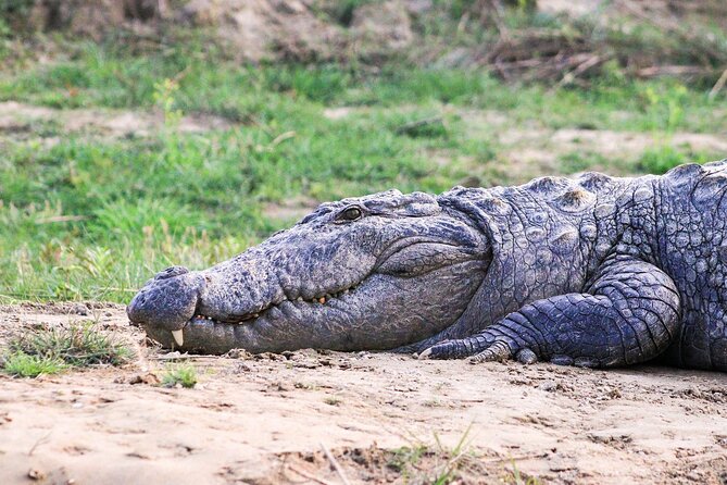 3 Days and 2 Nights Chitwan National Park Safari Tour in Pokhara - Should You Book the Chitwan Safari From Pokhara?