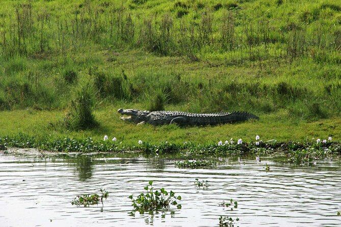 3 Days and 2 Nights Chitwan National Park Safari Tour in Pokhara - The Lodge and Two-Night Pace