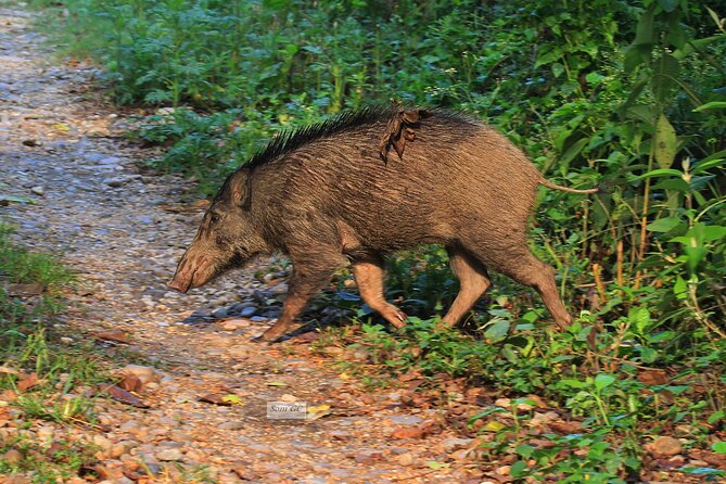 3 Days Jungle Safari in Chitwan National Park - The six-hour road from Kathmandu to Chitwan