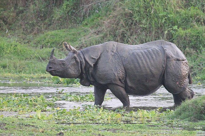 3 Days Jungle Safari in Chitwan National Park - Tharu food and stick dancing after dark