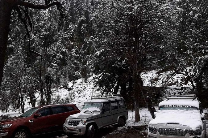 3 Days Kalinchowk Trekking from Kathmandu - What the $290 price includes