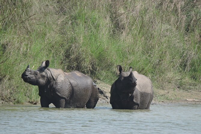 3 Nights 4 Days Bardia Tiger Tracking Tour | Bardia Jungle Safari - Key points to know before booking