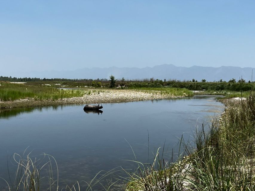 3 Nights 4 Days Chitwan National Park with Tower Night Stay - Should you book the Chitwan tower stay?