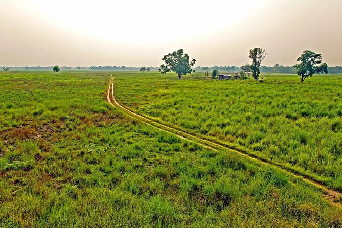 3 Nights 4 Days Chitwan National Park with Tower Night Stay - Why the tower night changes the Chitwan experience