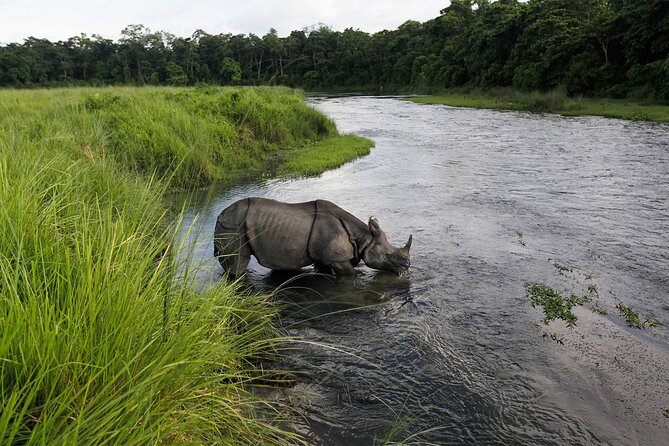 3 Nights 4 Days Chitwan National Park with Tower Night Stay - Day 2: Canoeing, crocodiles, and the move into the jungle