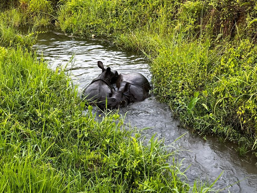 3 Nights 4 Days Chitwan National Park with Tower Night Stay - Who will get the most from this four-day plan
