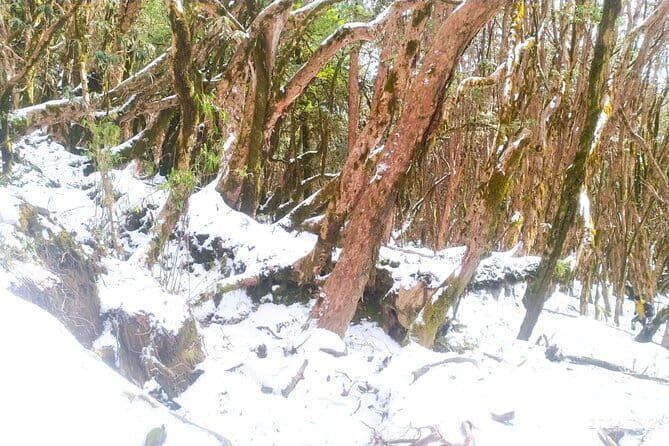 4 Day Mardi Himal Base Camp Trek from Pokhara - Day 1: Kande to Forest Camp through forest and villages
