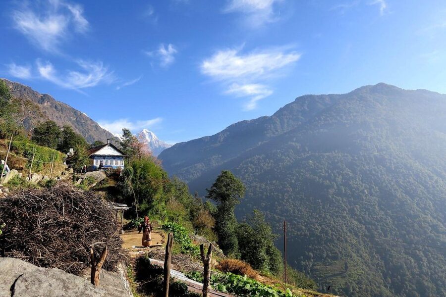 4 Day Poon Hill Trek from Pokhara - Day four: Tadapani, Ghandruk, and the return to Pokhara
