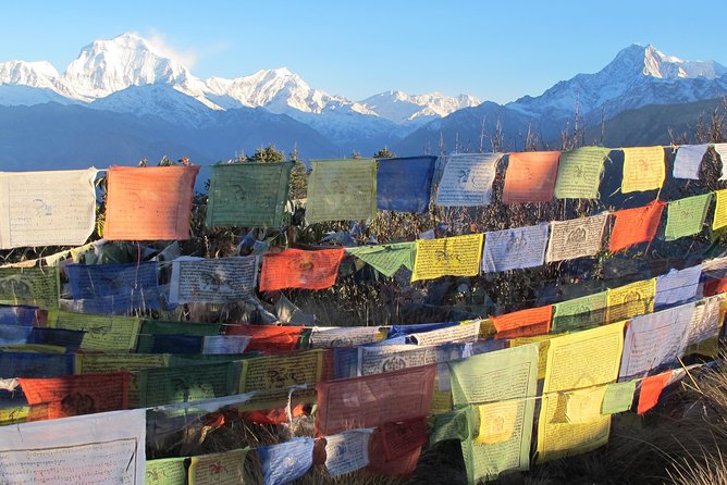4-Day Private Poon Hill Trekking Tour - Day 2: Rhododendron forest and Ghorepani